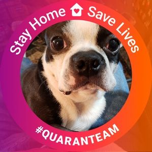 Meet your Posher, Richard